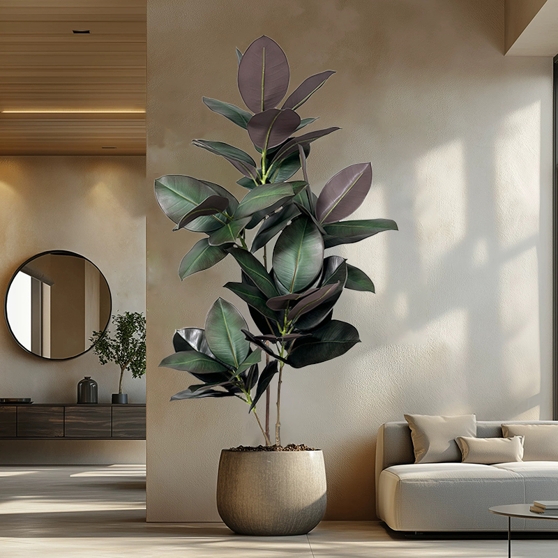 Rubber Plant Ficus - Árbol de Ficus Artificial de 70-150