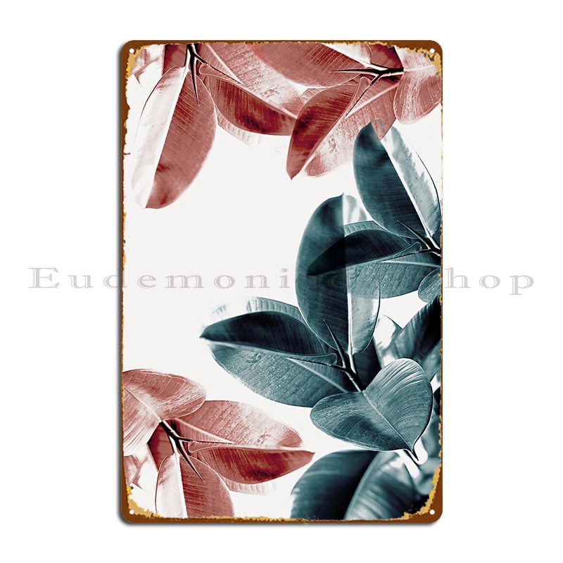 Rubber Plant Ficus - Hojas de plantas de goma, hojas