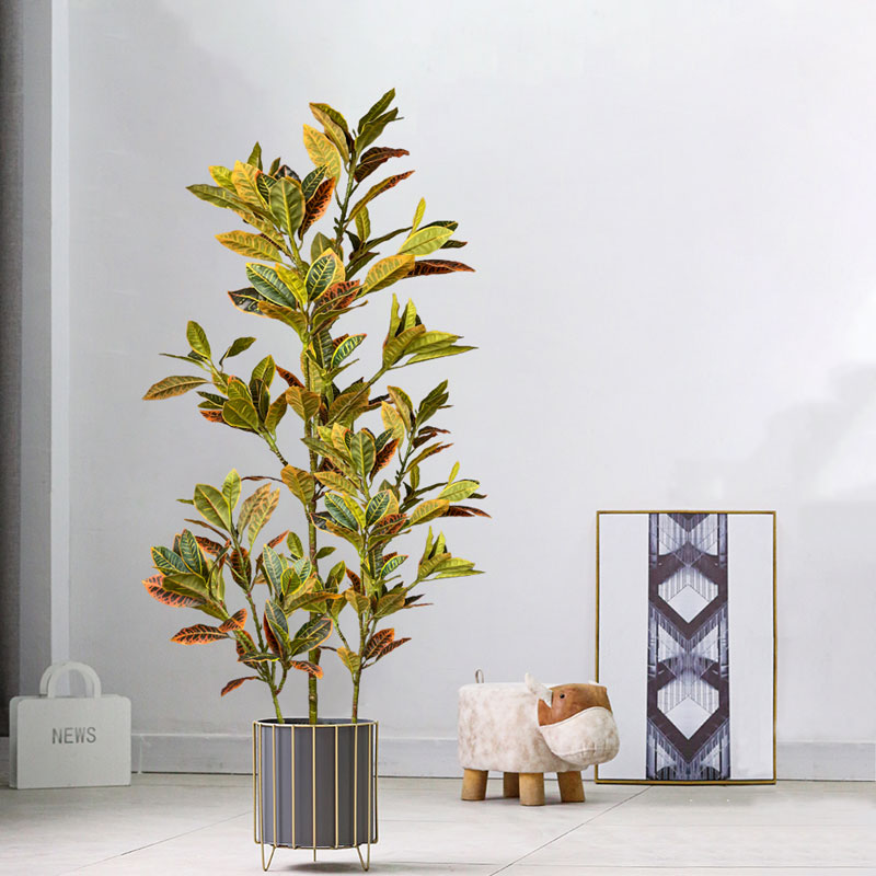 Rubber Plant Ficus - Árbol de Ficus falso grande de