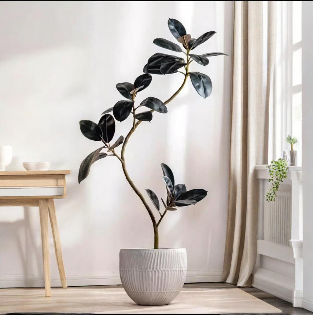 Rubber Plant Ficus - Planta en maceta de plástico Artificial,