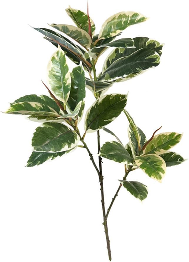 Planta Artificial Ficus Tineke - Rubber Plant Ficus reseña y precio