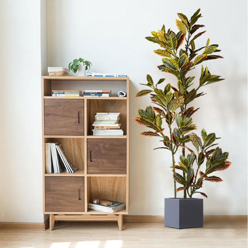 Árbol de Ficus falso grande de - Rubber Plant Ficus reseña y precio