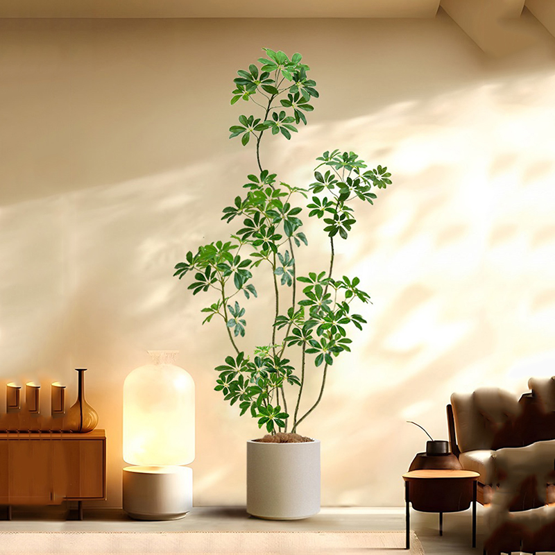 Árbol de Ficus Artificial gran - Rubber Plant Ficus reseña y precio