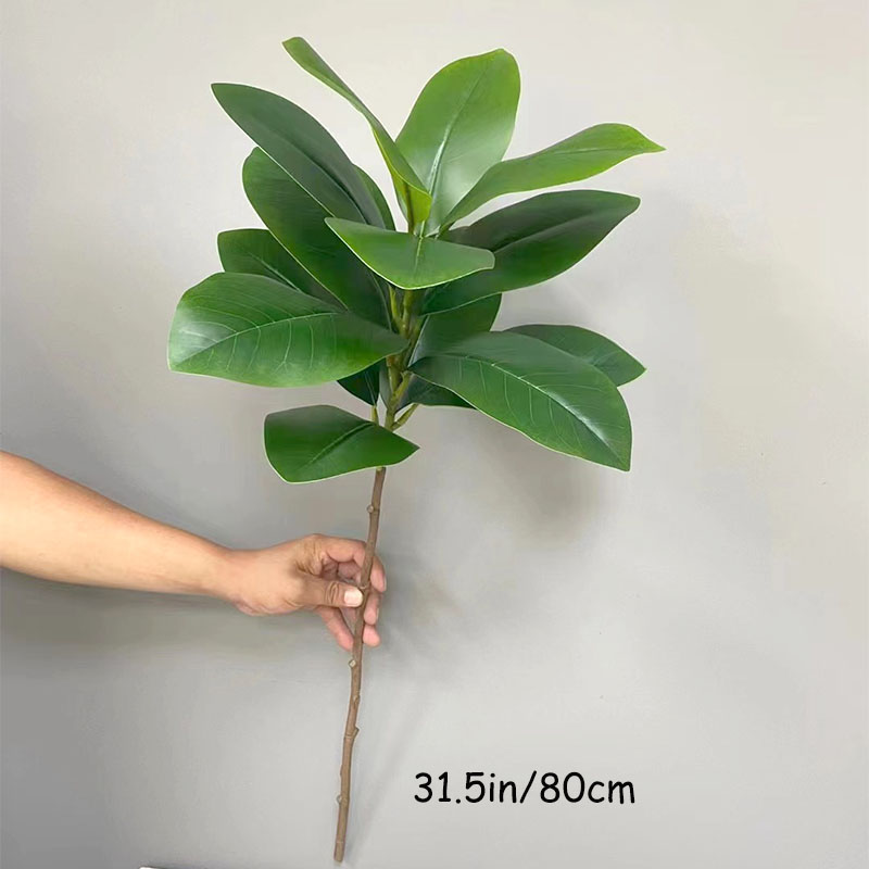 Planta de Banyan falsa grande  - Rubber Plant Ficus reseña y precio