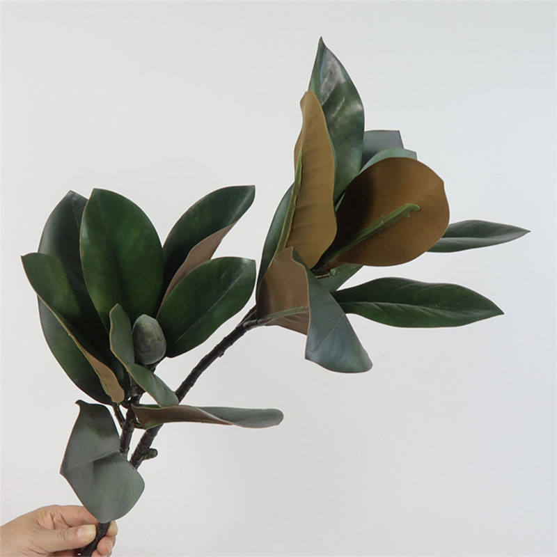 Plantas artificiales grandes d - Rubber Plant Ficus reseña y precio